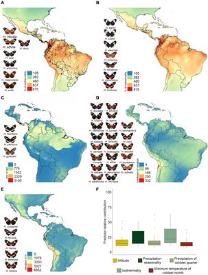 Environmental Drivers of Diversification and Hybridization in Neotropical Butterflies